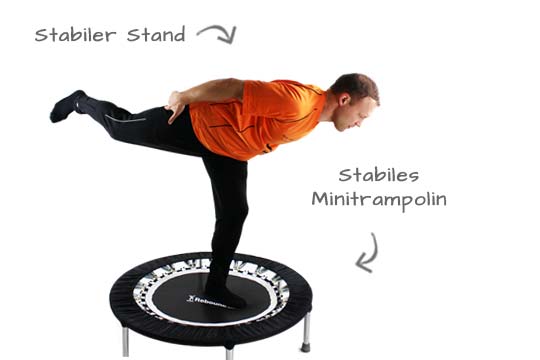 Pro Gym Rebounder